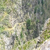 Plants: image 66 Of 115 Thumb